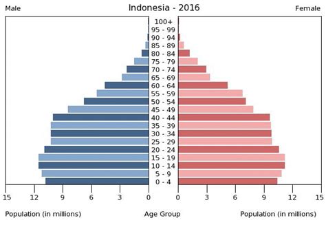 indonesia population age structure